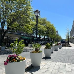 Meet your Posher, Grace